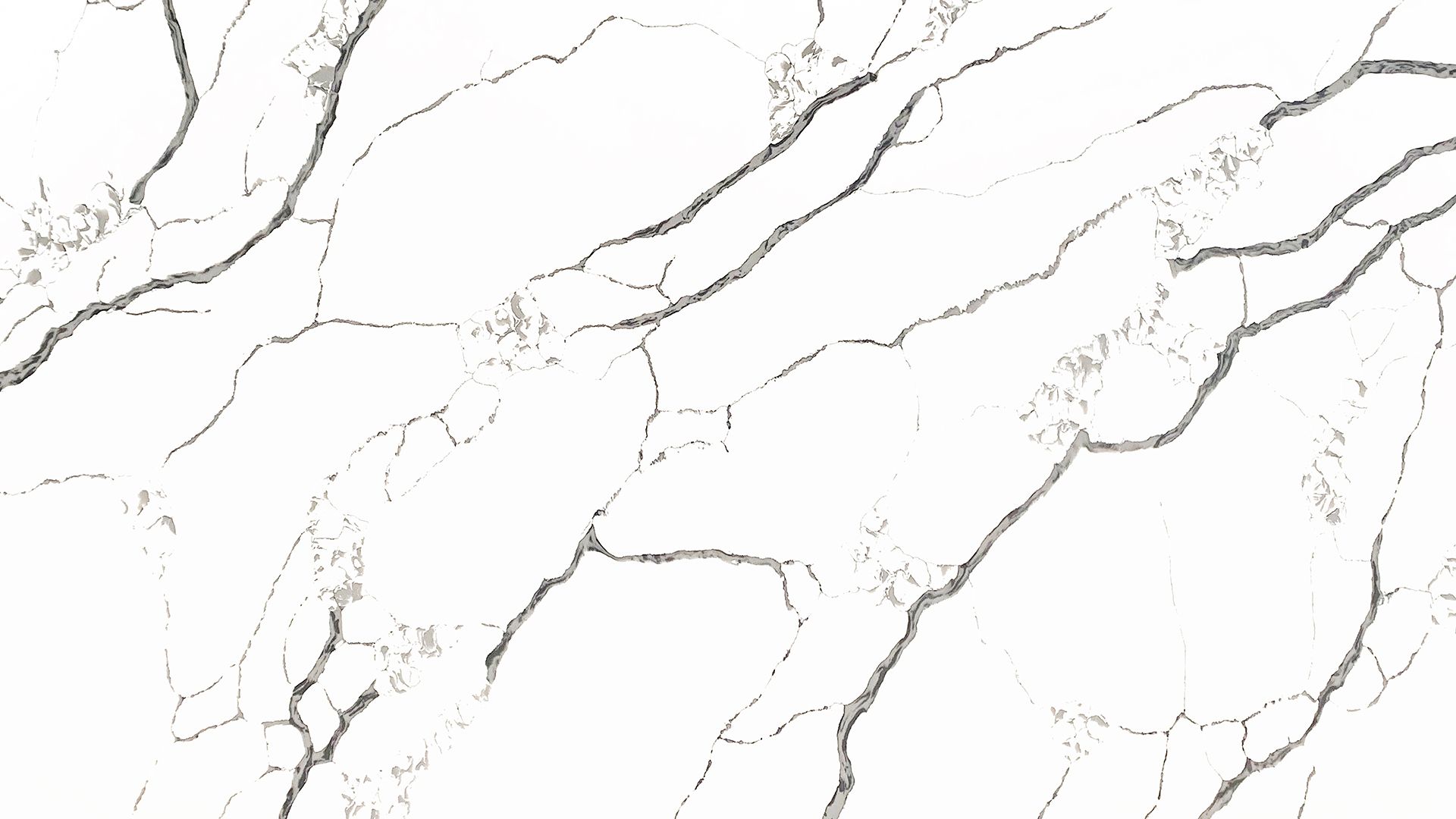 Zl4133 forest winter